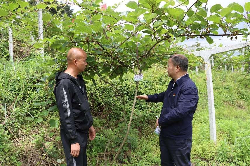 老子有钱lzyq88(中国)有限公司